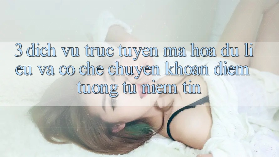 3. Dịch vụ trực tuyến Mã hóa dữ liệu Và Cơ Chế Chuyển khoản: Điểm Tương tự Niềm Tin