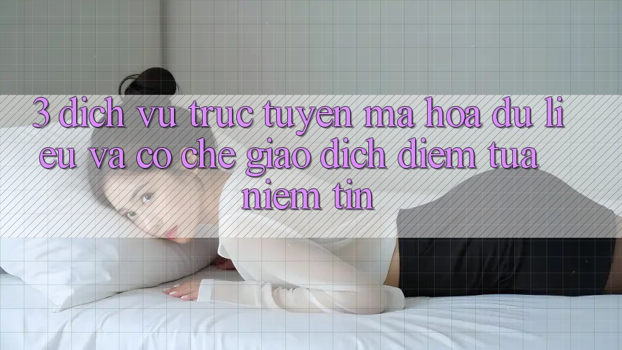 3. Dịch vụ trực tuyến Mã hóa dữ liệu Và Cơ Chế Giao Dịch: Điểm Tựa Niềm Tin 3. Dịch vụ trực tuyến Mã hóa dữ liệu Và Cơ Chế Giao Dịch: Điểm Tựa Niềm Tin