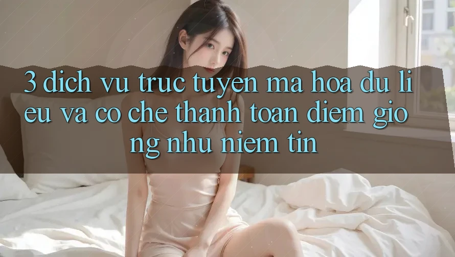 3. Dịch vụ trực tuyến Mã hóa dữ liệu Và Cơ Chế Thanh toán: Điểm Giống như Niềm Tin 3. Dịch vụ trực tuyến Mã hóa dữ liệu Và Cơ Chế Thanh toán: Điểm Giống như Niềm Tin