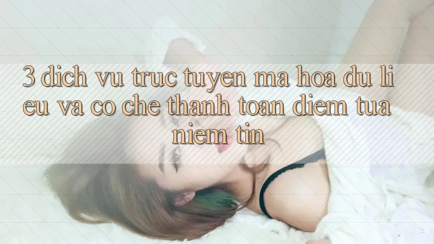 3. Dịch vụ trực tuyến Mã hóa dữ liệu Và Cơ Chế Thanh toán: Điểm Tựa Niềm Tin 3. Dịch vụ trực tuyến Mã hóa dữ liệu Và Cơ Chế Thanh toán: Điểm Tựa Niềm Tin