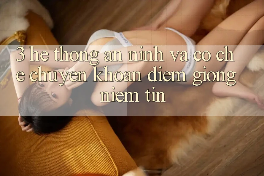 3. Hệ Thống An ninh Và Cơ Chế Chuyển khoản: Điểm Giống Niềm Tin 3. Hệ Thống An ninh Và Cơ Chế Chuyển khoản: Điểm Giống Niềm Tin