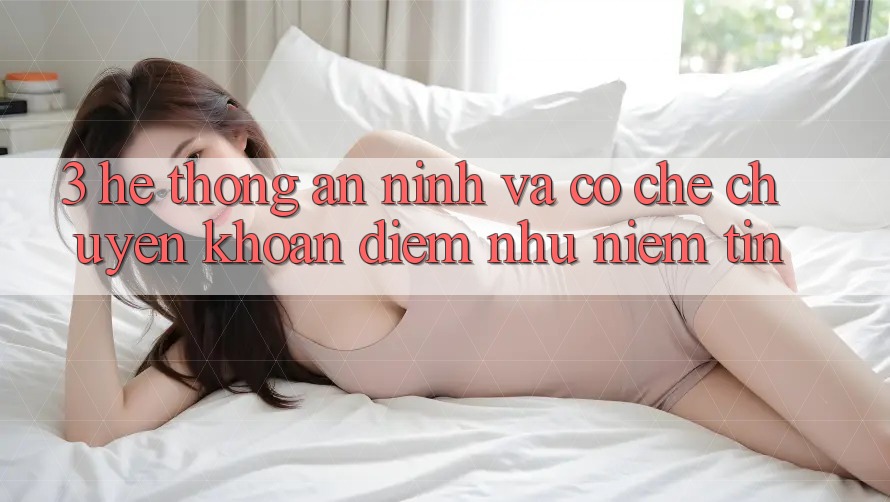 3. Hệ Thống An ninh Và Cơ Chế Chuyển khoản: Điểm Như Niềm Tin 3. Hệ Thống An ninh Và Cơ Chế Chuyển khoản: Điểm Như Niềm Tin