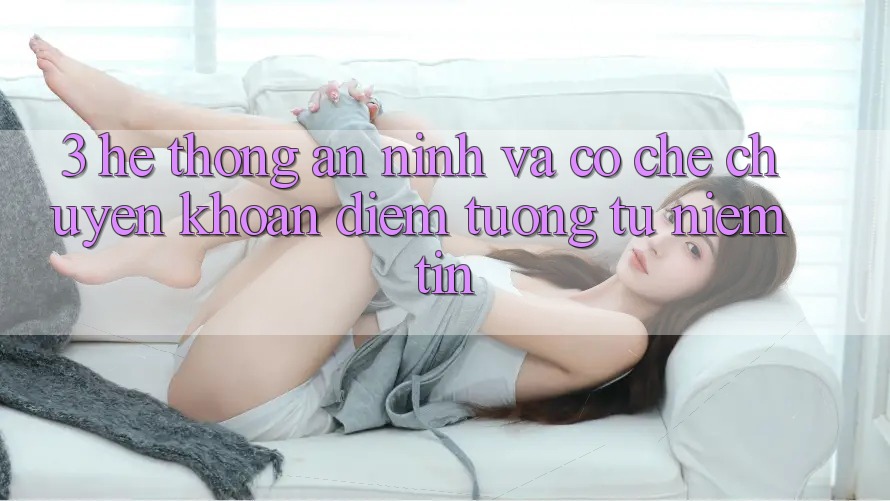 3. Hệ Thống An ninh Và Cơ Chế Chuyển khoản: Điểm Tương tự Niềm Tin 3. Hệ Thống An ninh Và Cơ Chế Chuyển khoản: Điểm Tương tự Niềm Tin