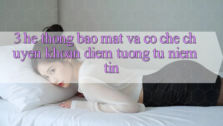3. Hệ Thống Bảo Mật Và Cơ Chế Chuyển khoản: Điểm Tương tự Niềm Tin 3. Hệ Thống Bảo Mật Và Cơ Chế Chuyển khoản: Điểm Tương tự Niềm Tin
