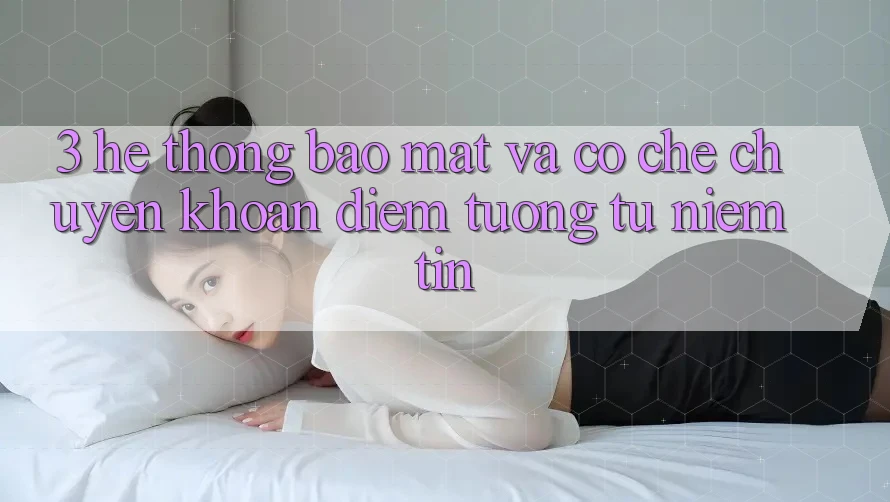 3. Hệ Thống Bảo Mật Và Cơ Chế Chuyển khoản: Điểm Tương tự Niềm Tin 3. Hệ Thống Bảo Mật Và Cơ Chế Chuyển khoản: Điểm Tương tự Niềm Tin