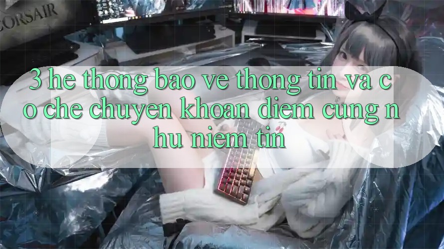 3. Hệ Thống Bảo vệ thông tin Và Cơ Chế Chuyển khoản: Điểm Cũng như Niềm Tin