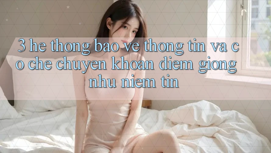 3. Hệ Thống Bảo vệ thông tin Và Cơ Chế Chuyển khoản: Điểm Giống như Niềm Tin 3. Hệ Thống Bảo vệ thông tin Và Cơ Chế Chuyển khoản: Điểm Giống như Niềm Tin