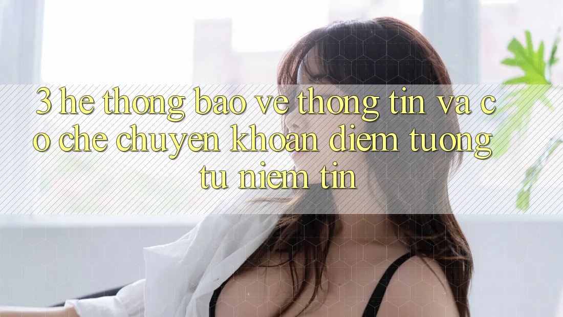 3. Hệ Thống Bảo vệ thông tin Và Cơ Chế Chuyển khoản: Điểm Tương tự Niềm Tin