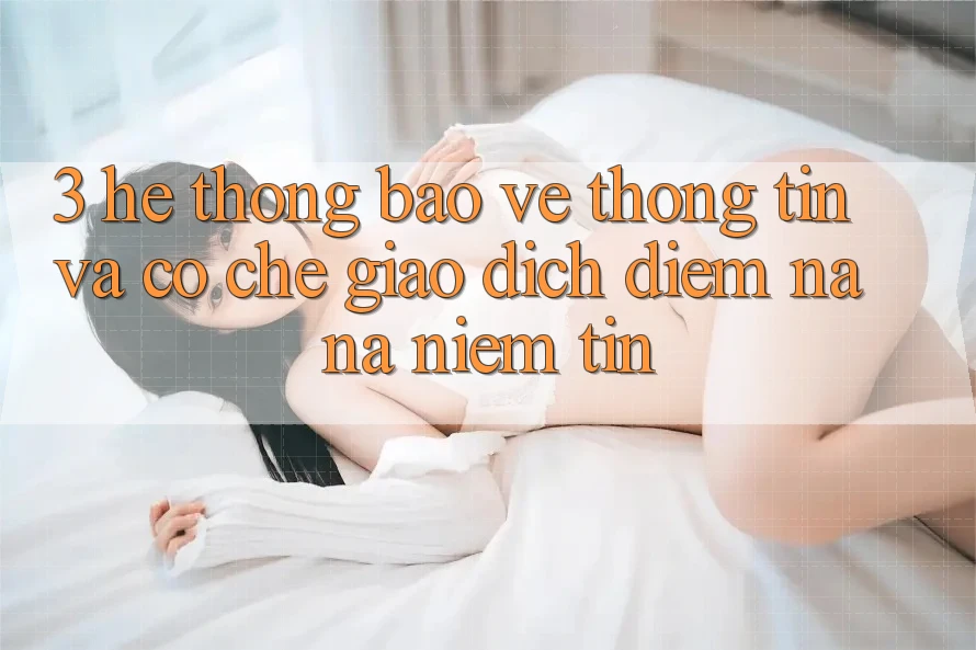 3. Hệ Thống Bảo vệ thông tin Và Cơ Chế Giao Dịch: Điểm Na ná Niềm Tin 3. Hệ Thống Bảo vệ thông tin Và Cơ Chế Giao Dịch: Điểm Na ná Niềm Tin