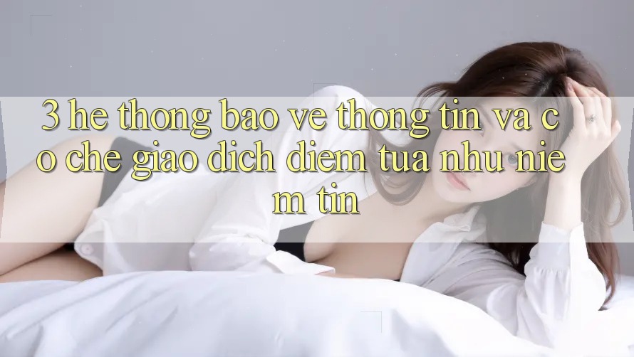 3. Hệ Thống Bảo vệ thông tin Và Cơ Chế Giao Dịch: Điểm Tựa như Niềm Tin