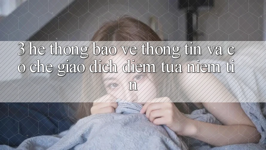 3. Hệ Thống Bảo vệ thông tin Và Cơ Chế Giao Dịch: Điểm Tựa Niềm Tin 3. Hệ Thống Bảo vệ thông tin Và Cơ Chế Giao Dịch: Điểm Tựa Niềm Tin