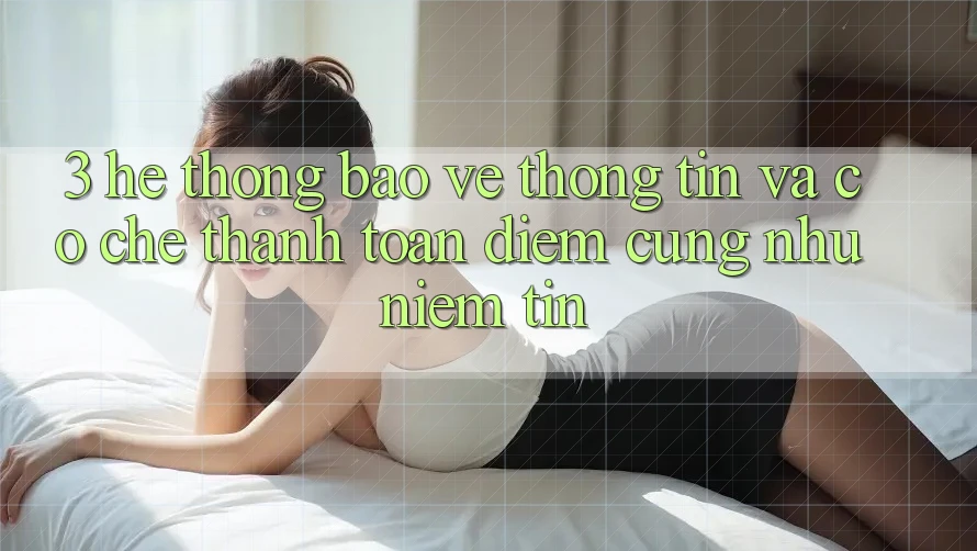 3. Hệ Thống Bảo vệ thông tin Và Cơ Chế Thanh toán: Điểm Cũng như Niềm Tin 3. Hệ Thống Bảo vệ thông tin Và Cơ Chế Thanh toán: Điểm Cũng như Niềm Tin