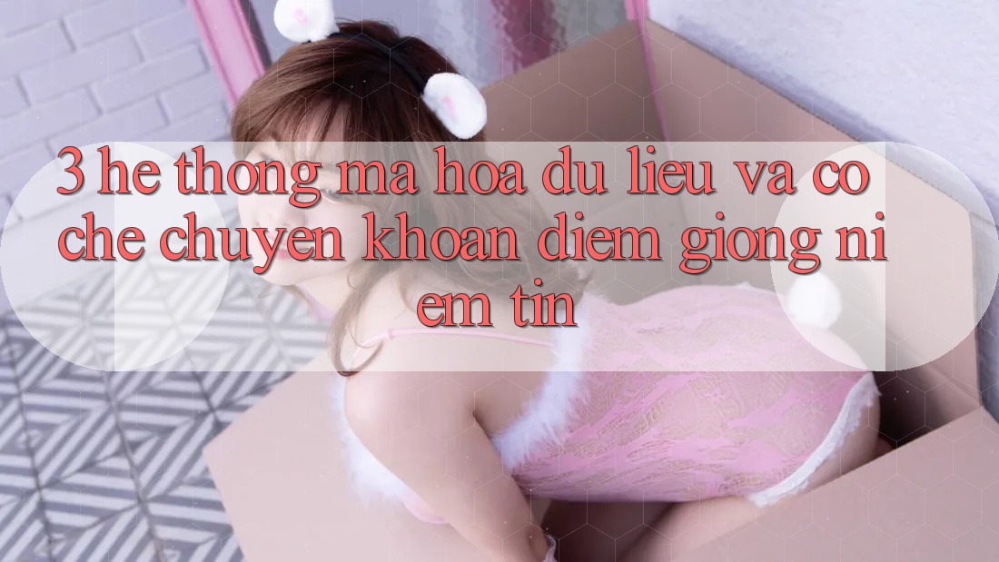 3. Hệ Thống Mã hóa dữ liệu Và Cơ Chế Chuyển khoản: Điểm Giống Niềm Tin 3. Hệ Thống Mã hóa dữ liệu Và Cơ Chế Chuyển khoản: Điểm Giống Niềm Tin
