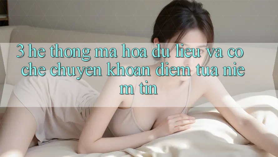 3. Hệ Thống Mã hóa dữ liệu Và Cơ Chế Chuyển khoản: Điểm Tựa Niềm Tin 3. Hệ Thống Mã hóa dữ liệu Và Cơ Chế Chuyển khoản: Điểm Tựa Niềm Tin