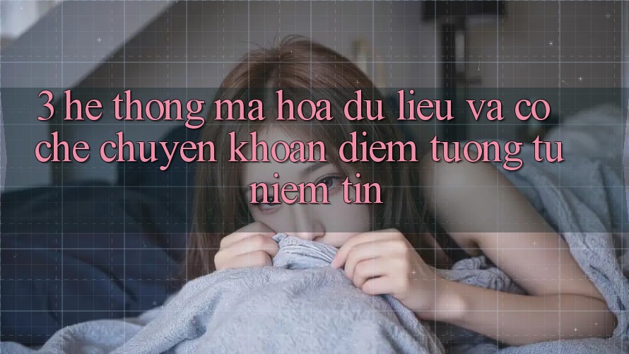3. Hệ Thống Mã hóa dữ liệu Và Cơ Chế Chuyển khoản: Điểm Tương tự Niềm Tin