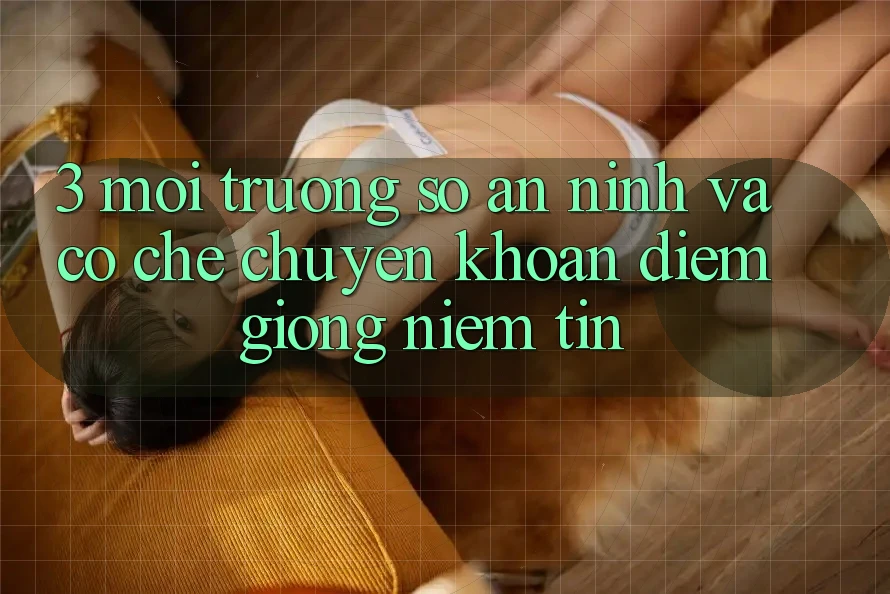3. Môi trường số An ninh Và Cơ Chế Chuyển khoản: Điểm Giống Niềm Tin 3. Môi trường số An ninh Và Cơ Chế Chuyển khoản: Điểm Giống Niềm Tin