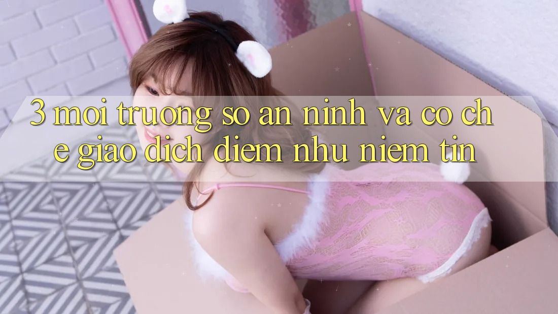 3. Môi trường số An ninh Và Cơ Chế Giao Dịch: Điểm Như Niềm Tin
