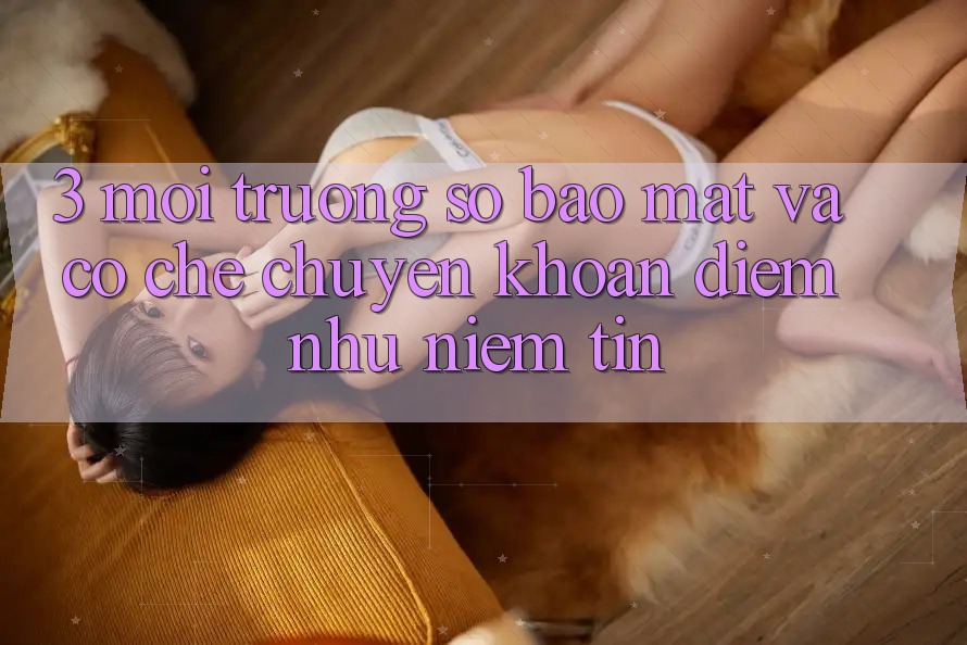 3. Môi trường số Bảo Mật Và Cơ Chế Chuyển khoản: Điểm Như Niềm Tin