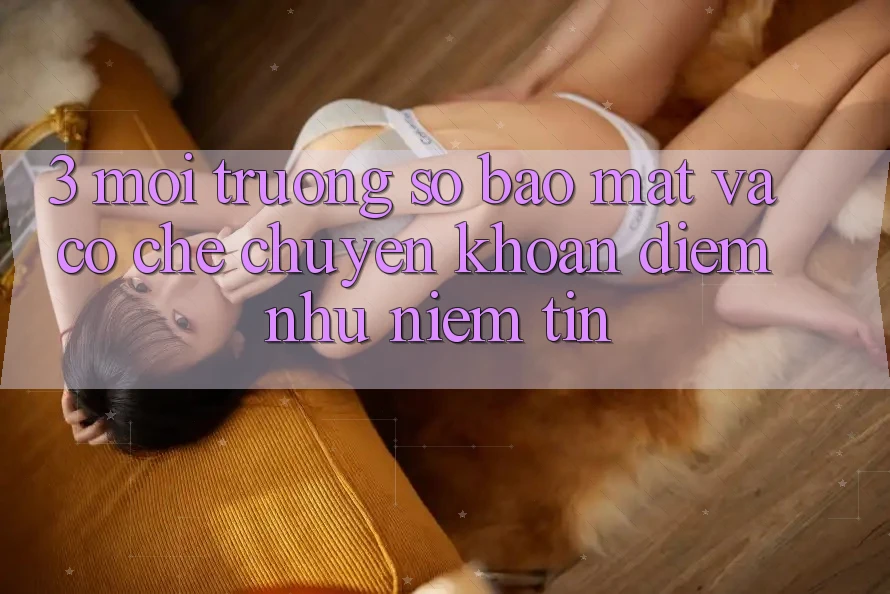 3. Môi trường số Bảo Mật Và Cơ Chế Chuyển khoản: Điểm Như Niềm Tin 3. Môi trường số Bảo Mật Và Cơ Chế Chuyển khoản: Điểm Như Niềm Tin