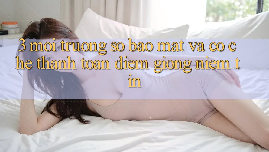 3. Môi trường số Bảo Mật Và Cơ Chế Thanh toán: Điểm Giống Niềm Tin 3. Môi trường số Bảo Mật Và Cơ Chế Thanh toán: Điểm Giống Niềm Tin