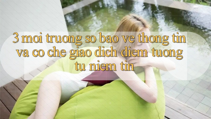 3. Môi trường số Bảo vệ thông tin Và Cơ Chế Giao Dịch: Điểm Tương tự Niềm Tin