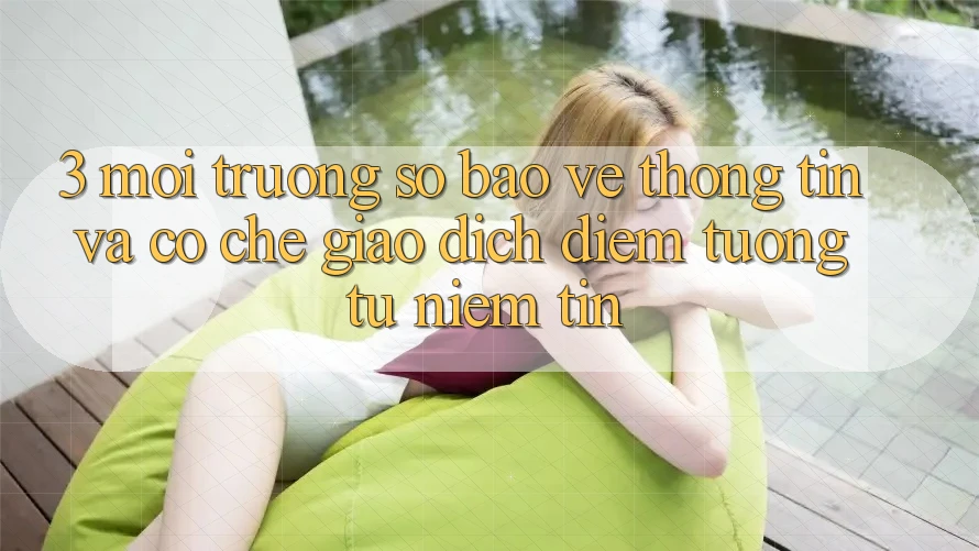 3. Môi trường số Bảo vệ thông tin Và Cơ Chế Giao Dịch: Điểm Tương tự Niềm Tin 3. Môi trường số Bảo vệ thông tin Và Cơ Chế Giao Dịch: Điểm Tương tự Niềm Tin