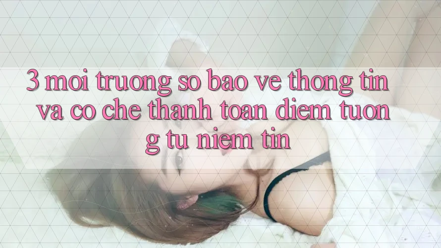 3. Môi trường số Bảo vệ thông tin Và Cơ Chế Thanh toán: Điểm Tương tự Niềm Tin 3. Môi trường số Bảo vệ thông tin Và Cơ Chế Thanh toán: Điểm Tương tự Niềm Tin