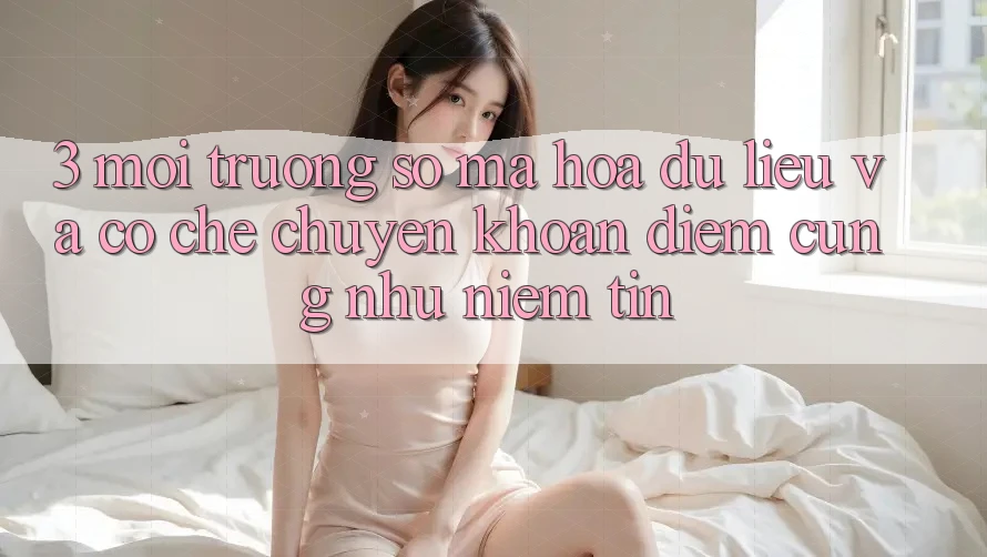 3. Môi trường số Mã hóa dữ liệu Và Cơ Chế Chuyển khoản: Điểm Cũng như Niềm Tin 3. Môi trường số Mã hóa dữ liệu Và Cơ Chế Chuyển khoản: Điểm Cũng như Niềm Tin