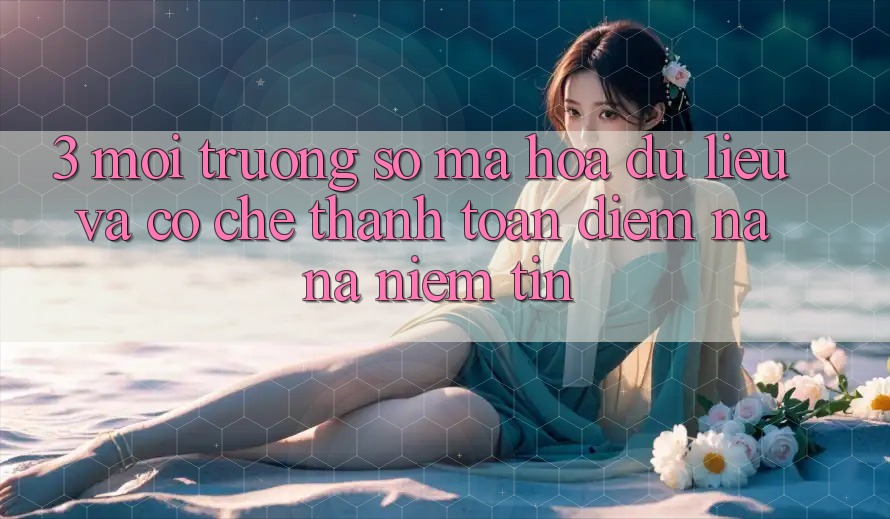 3. Môi trường số Mã hóa dữ liệu Và Cơ Chế Thanh toán: Điểm Na ná Niềm Tin