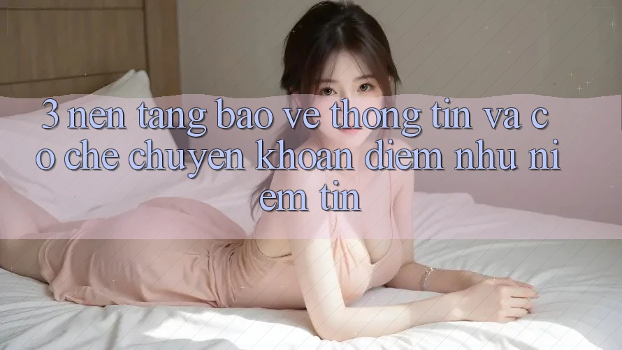 3. Nền tảng Bảo vệ thông tin Và Cơ Chế Chuyển khoản: Điểm Như Niềm Tin