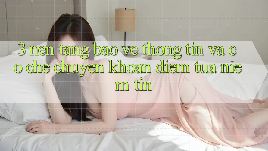3. Nền tảng Bảo vệ thông tin Và Cơ Chế Chuyển khoản: Điểm Tựa Niềm Tin