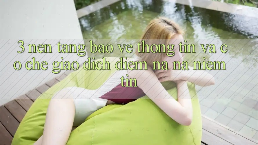 3. Nền tảng Bảo vệ thông tin Và Cơ Chế Giao Dịch: Điểm Na ná Niềm Tin 3. Nền tảng Bảo vệ thông tin Và Cơ Chế Giao Dịch: Điểm Na ná Niềm Tin