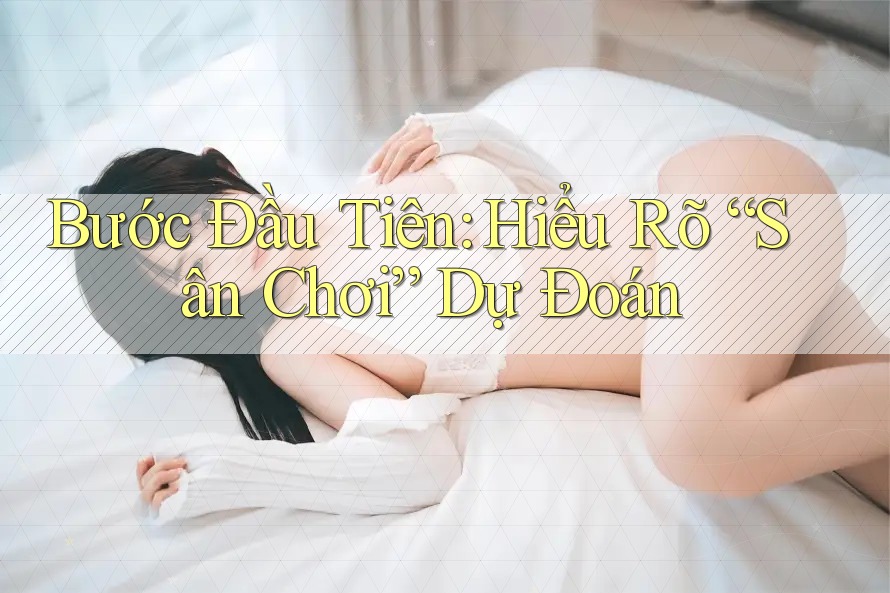 Bước Đầu Tiên: Hiểu Rõ “Sân Chơi” Dự Đoán Bước Đầu Tiên: Hiểu Rõ “Sân Chơi” Dự Đoán