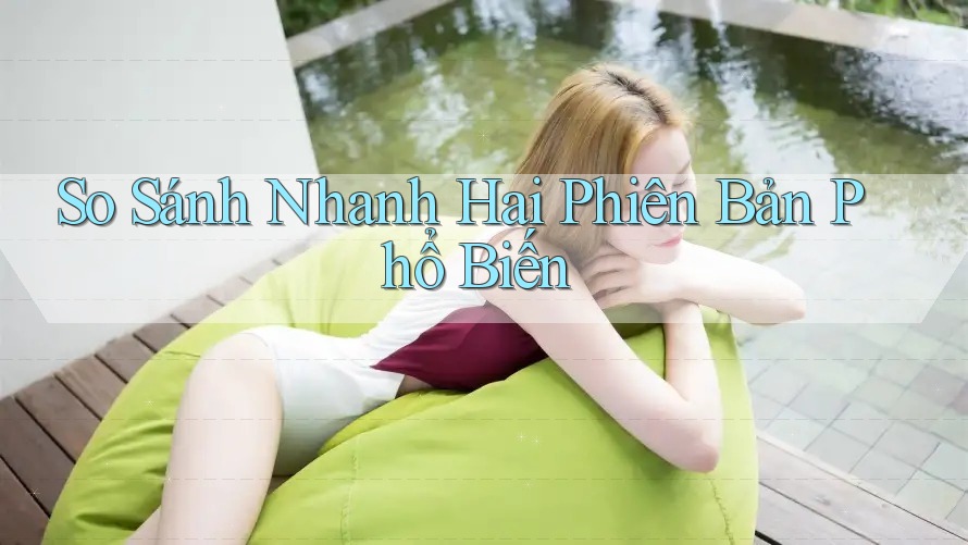 So Sánh Nhanh Hai Phiên Bản Phổ Biến So Sánh Nhanh Hai Phiên Bản Phổ Biến