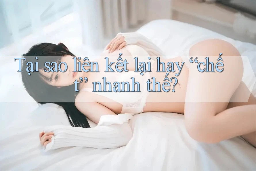 Tại sao liên kết lại hay “chết” nhanh thế? Tại sao liên kết lại hay “chết” nhanh thế?